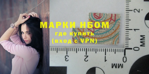 тгк Ельня