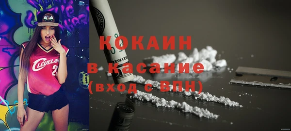 ПСИЛОЦИБИНОВЫЕ ГРИБЫ Елизово