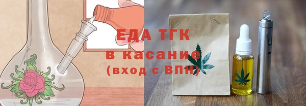 тгк Ельня
