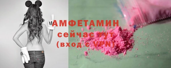 тгк Ельня