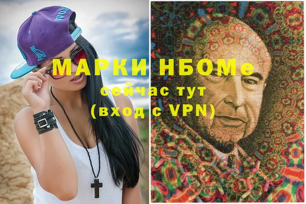 тгк Ельня