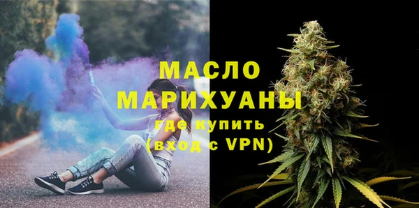 тгк Ельня