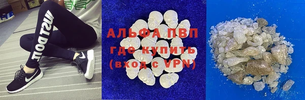 ПСИЛОЦИБИНОВЫЕ ГРИБЫ Елизово