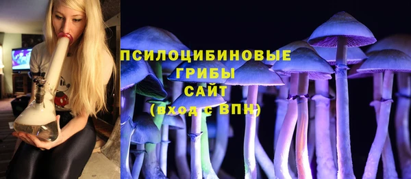 ПСИЛОЦИБИНОВЫЕ ГРИБЫ Елизово