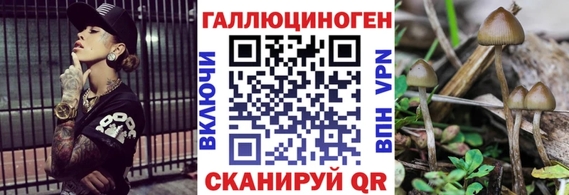 Галлюциногенные грибы ЛСД Купить закладки Кингисепп