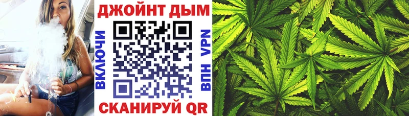 Купить  Кингисепп  Конопля SATIVA & INDICA 